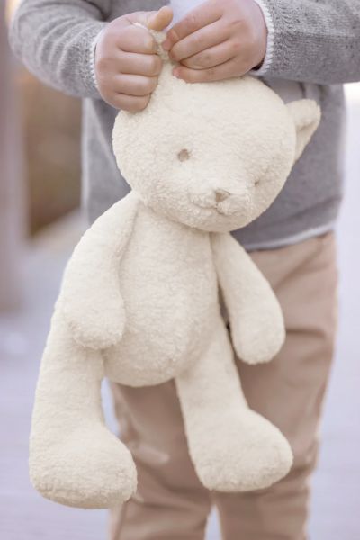 Teddy Gaston 25cm